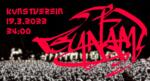 Tsunami Soundsystem
