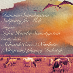 Tsunami Soundsystem Soliparty für Meli